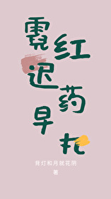 霓虹夜什么意思