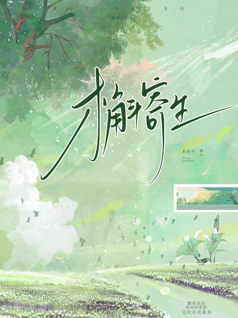 槲寄生