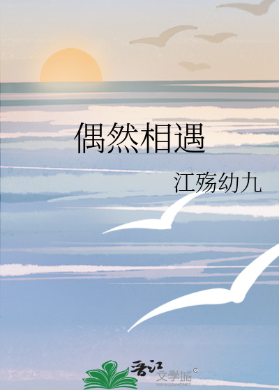 偶然相遇的成语