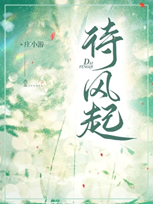 待风起［校园］